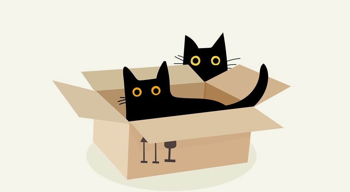 two cats peek over the edge of a box